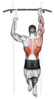 One Arm Chin-Up exercise demonstration for Back, Body weight