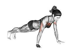 Push-up exercise demonstration for Chest, Body weight