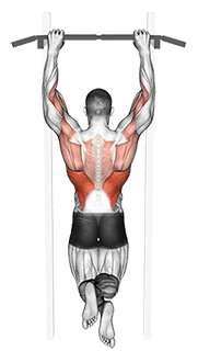 Side-To-Side Chin exercise demonstration for Back, Body weight