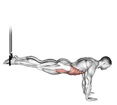 Suspended Reverse Crunch exercise demonstration for Waist, Body weight