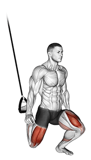 Suspended Split Squat exercise demonstration for Quadriceps, and Thighs, Body weight