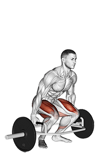 Trap Bar Deadlift exercise demonstration for Quadriceps, and Thighs, Trap bar