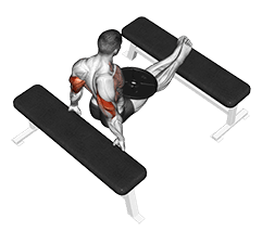 Weighted Bench Dip exercise demonstration for Triceps, and Upper Arms, Weighted