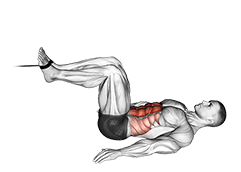 Cable Reverse Crunch exercise demonstration for Waist, Cable