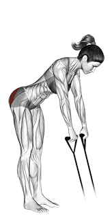 Band hip extension exercise demonstration for Hips, Band