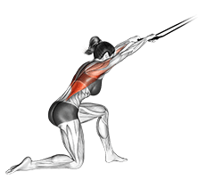 Band kneeling pulldown exercise demonstration for Back, Band