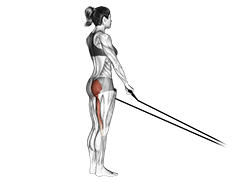 Band Single stiff leg deadlift exercise demonstration for Hips, Band