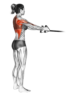 Band straight-back standing row exercise demonstration for Back, Band