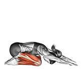 Child Pose exercise demonstration for Yoga, Body weight