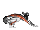 Garland Pose Malasana exercise demonstration for Yoga, Body weight