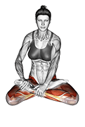 Lotus Pose Padmasana exercise demonstration for Yoga, Body weight