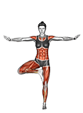Tree Pose Vrksasana exercise demonstration for Yoga, Body weight