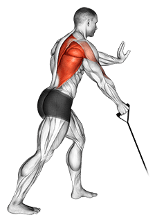 Band one arm Standing Low Row exercise demonstration for Back, Band