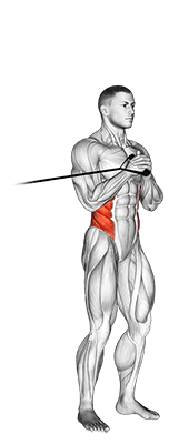 Band vertical Pallof Press exercise demonstration for Waist, Band