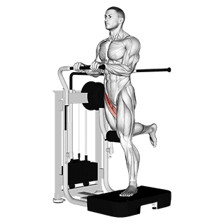 Lever Standing Leg Raise exercise demonstration for Hips, Leverage machine