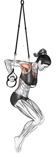 Suspension Chest Dip exercise demonstration for Chest, Suspension