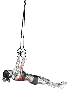 Suspension Inverted Row exercise demonstration for Back, Suspension