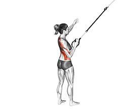 Suspension Power Pull exercise demonstration for Back, Suspension
