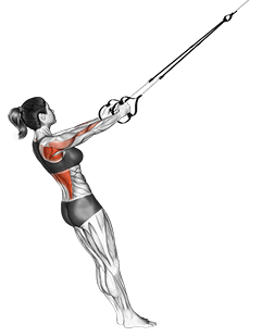 Suspension Row exercise demonstration for Back, Suspension