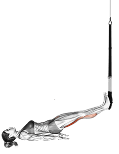 Suspension Straight Hip Leg Curl exercise demonstration for Hamstrings, and Thighs, Suspension
