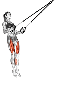 Suspension Jump Squat exercise demonstration for Quadriceps, and Thighs, Suspension