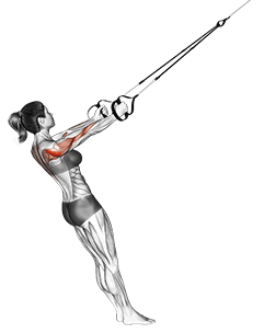Suspension Middle Row exercise demonstration for Shoulders, Suspension
