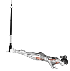 Suspension Mountain Climber Push-up exercise demonstration for Hips, Suspension