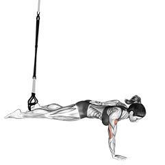 Suspension One Arm Leg Push-up exercise demonstration for Chest, Suspension