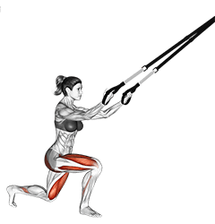 Suspension Rear Lunge exercise demonstration for Quadriceps, and Thighs, Suspension