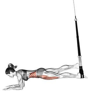 Suspension Single Leg Plank exercise demonstration for Waist, Suspension
