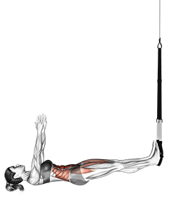 Suspension Sit-up exercise demonstration for Waist, Suspension