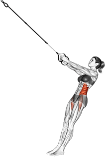 Suspension Twist-Up exercise demonstration for Waist, Suspension