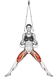 Suspension Side Stretch exercise demonstration for Quadriceps, and Thighs, Suspension