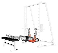 Weighted Inverted Row exercise demonstration for Back, Weighted