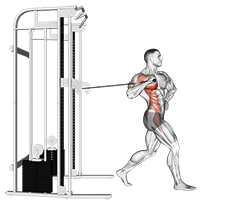 Cable twisting standing one arm chest press exercise demonstration for Chest, Cable
