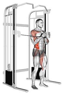 Cable vertical Pallof Press exercise demonstration for Waist, Cable