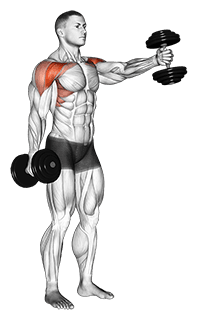 Dumbbell Standing Alternate Vertical Front Raises exercise demonstration for Shoulders, Dumbbell