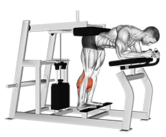 Lever Donkey Calf Raise exercise demonstration for Calves, Leverage machine