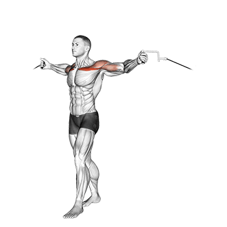 Upper Chest Crossovers exercise demonstration for Chest, Cable