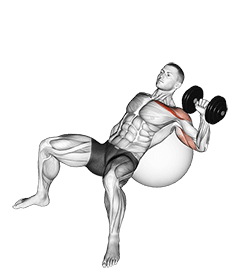 Dumbbell Incline One Arm Press on Exercise Ball exercise demonstration for Chest, Dumbbell