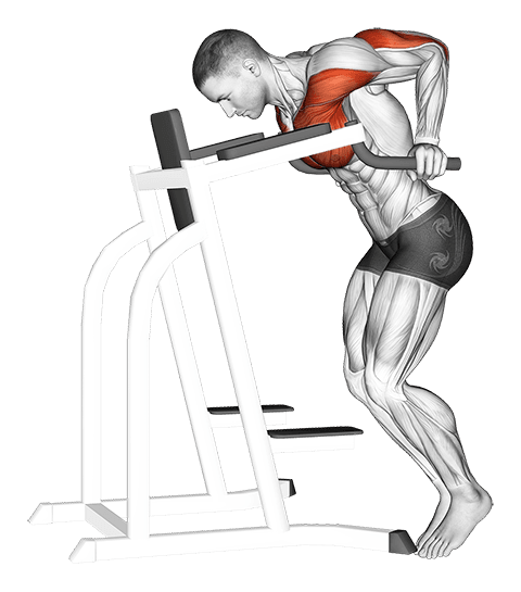 Dip Hold Isometric exercise demonstration for Chest, Body weight