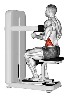 Lever Seated Twist exercise demonstration for Waist, Leverage machine