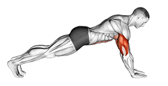 Push-up on Forearms exercise demonstration for Triceps, and Upper Arms, Body weight