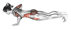 Jack Plank exercise demonstration for Waist, Body weight