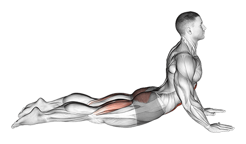 Cobra Yoga Pose exercise demonstration for Waist, Body weight