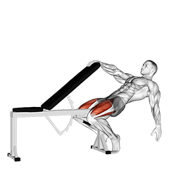 Sissy Squat exercise demonstration for Quadriceps, and Thighs, Body weight