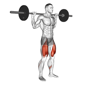 Quarter Squat exercise demonstration for Thighs, Barbell