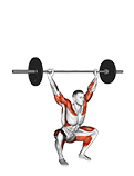 Barbell Hang Snatch Below the Knees exercise demonstration for Weightlifting, Barbell