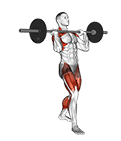 Barbell Split Clean exercise demonstration for Weightlifting, Barbell