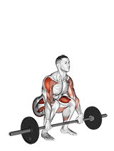 Barbell Squat to Upright Row exercise demonstration for Thighs, Barbell